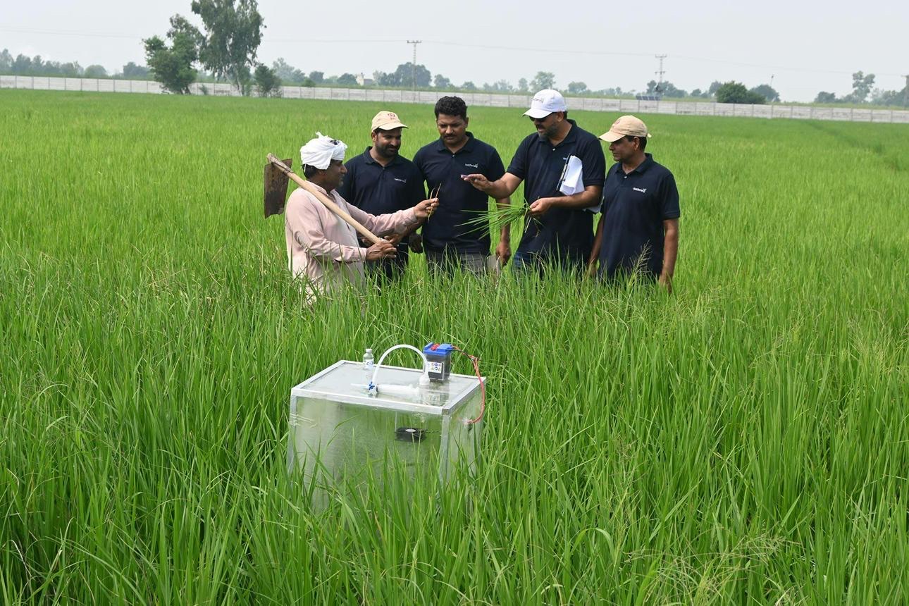 Sustainable agriculture and agroforestry field training
