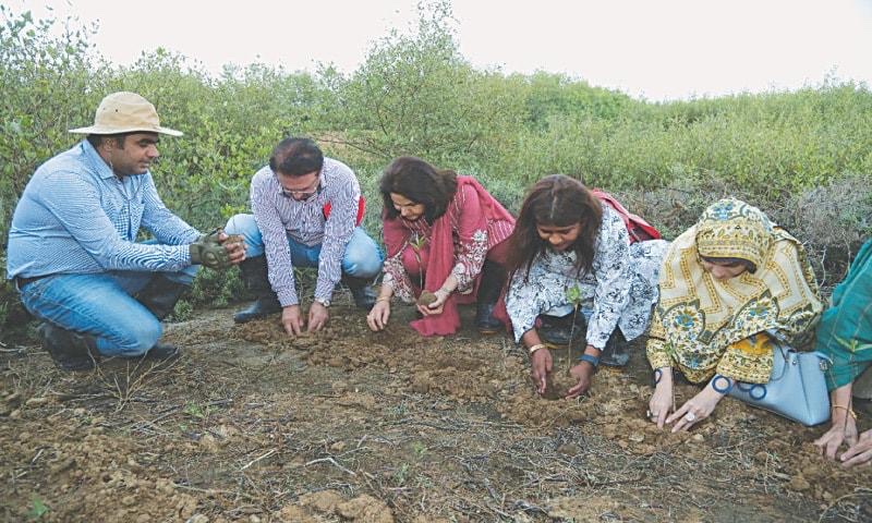 Jamila Welfare Foundation volunteers planting native saplings in Karachi