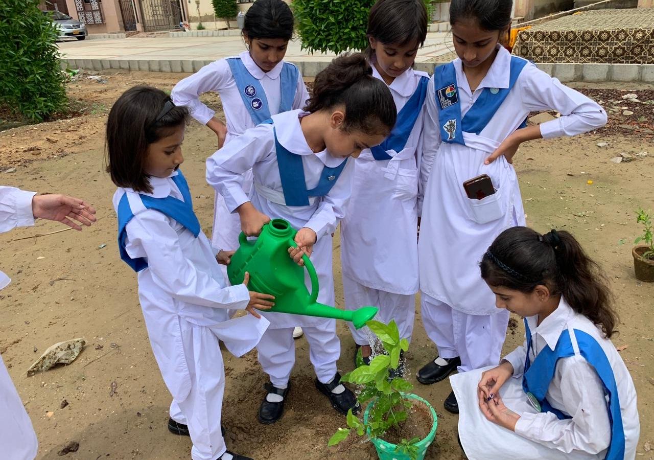 Schoolyard and urban neighbourhood tree plantation